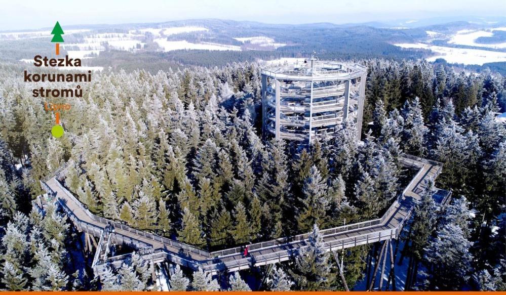 Apartment Lipno Sumava Pro 8 Hostu 伏尔塔瓦河畔利普诺 外观 照片