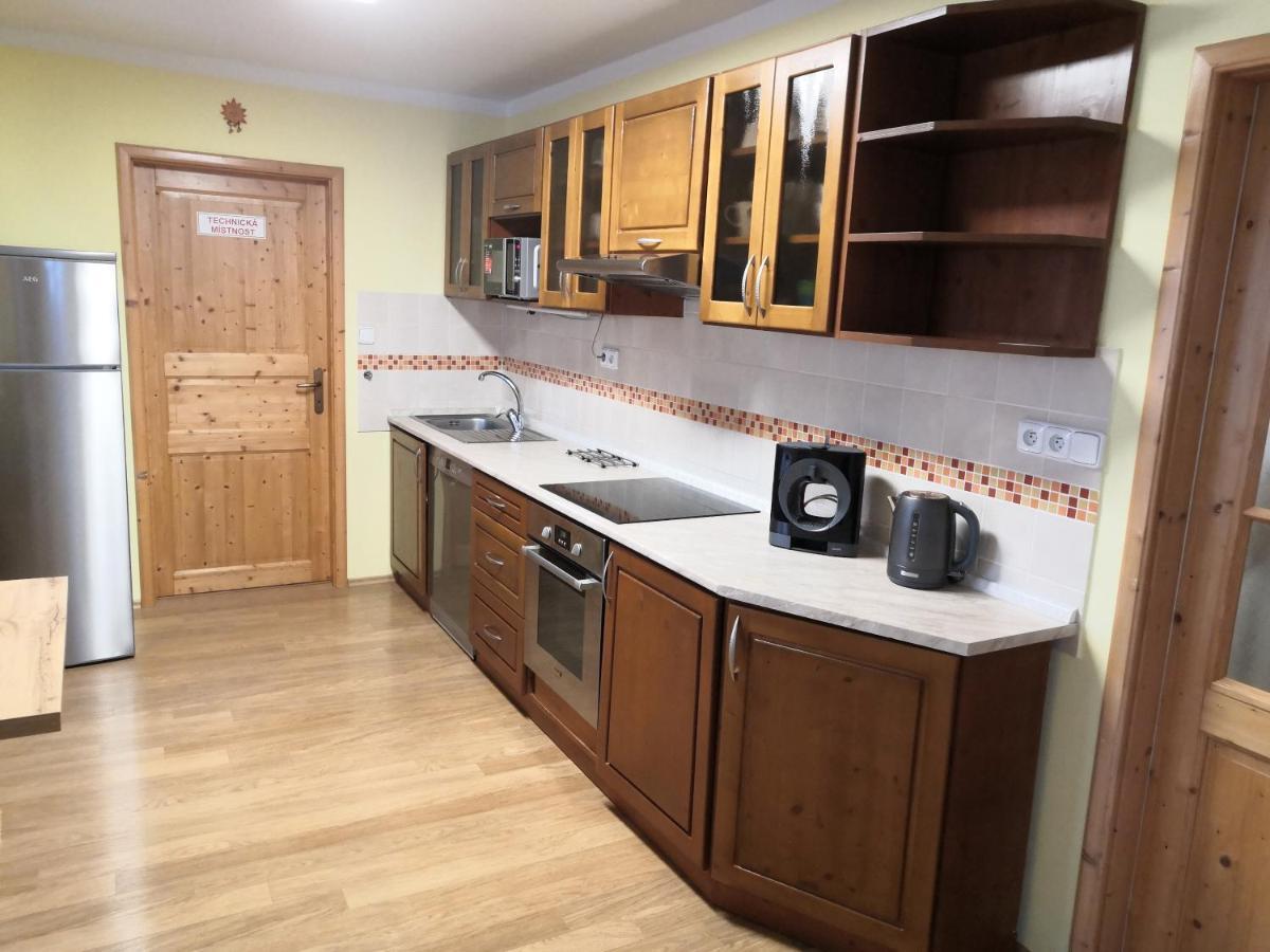 Apartment Lipno Sumava Pro 8 Hostu 伏尔塔瓦河畔利普诺 外观 照片