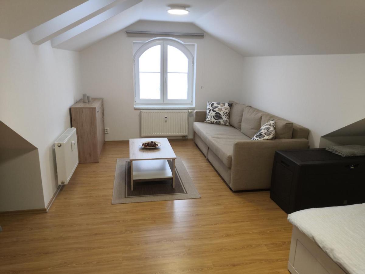 Apartment Lipno Sumava Pro 8 Hostu 伏尔塔瓦河畔利普诺 外观 照片