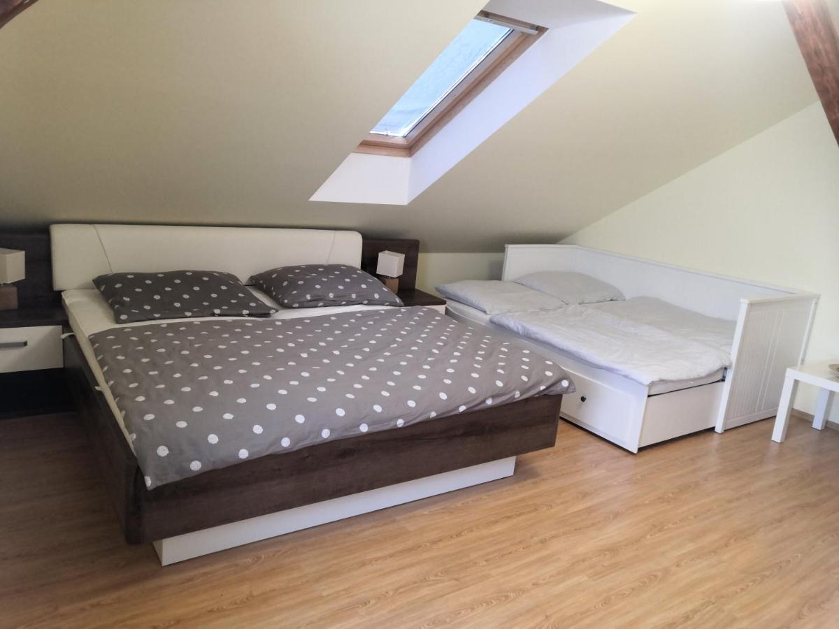 Apartment Lipno Sumava Pro 8 Hostu 伏尔塔瓦河畔利普诺 外观 照片